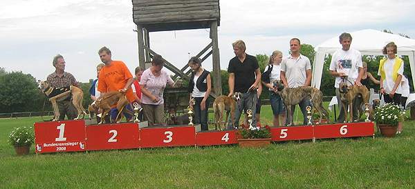Das Top-Sextett der gemischten Nationalen Klasse im Bundessiegerrennen 2008 in Hildesheim
