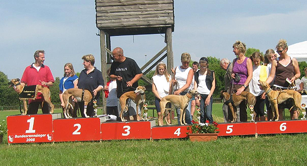 Ehrung der Hndinnen des Bundessiegerrennen 2008 in Hildesheim