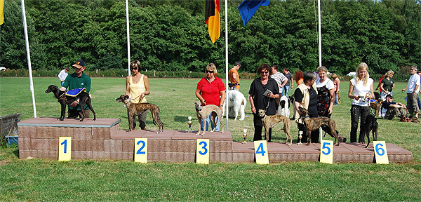 Ehrung der Hndinnen-A-Klasse, von links Simply Heurekas Amy, al Fao's Hannah Tinkerbell, Jessi lively pack, Inka Lilie vom rauhen Meer, Culanns Ginie, Crazy Runners Dolphins Mind in Hannover