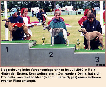 Trollhetta vom rauhen Meer