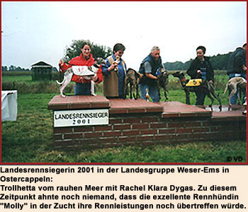 Trollhetta vom rauhen Meer