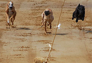 Training in Hamburg