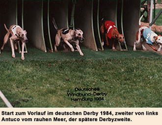 Antuco vom rauhen Meer