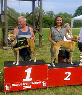 Catkylls Angelo und Mick Jerome vom rauhen Meer Bundessiegerrennen 2008 in Hildesheim