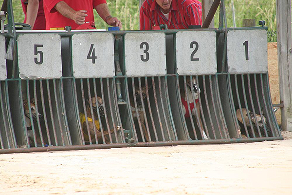 Bundessiegerrennen 2008 in Hildesheim