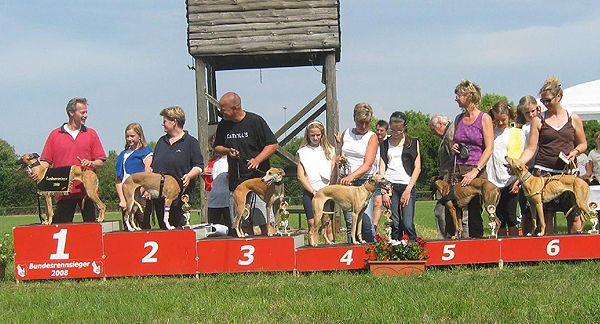 Ehrung der Hündinnen des Bundessiegerrennen 2008 in Hildesheim