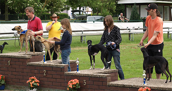 Deutschen Kurzstreckenmeisterschaft in Oberhausen | Die ersten vier Athletinnen der Nationalen Klasse, von links Mauralakana vom rauhen Meer, Darcy aus dem Gnomenhain, Catkyll´s Angelina, Ghan buri ghan´s Classic of Schenley.