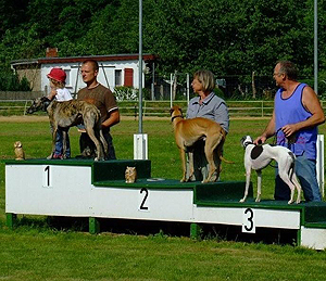 Gizmo vom Badenermoor, Peppercorn vom rauhen Meer, Joana lively Pack