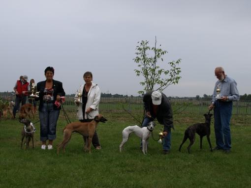 Kohout's Candida Tyche, Peppercorn vom rauhen Meer, Juana lively pack und Hakim vom Badenermoor