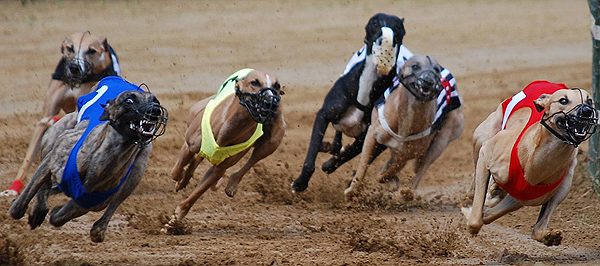 Deutsches Derby