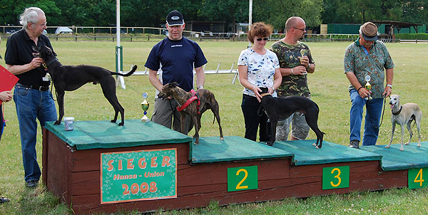 Hansa-Union-Rennen Hamburg | Oldtimer noch topfit: von links Birkhahn vom rauhen Meer, Hyazinth of Good Family, Crazy RunnerŽs Yankee Doodle, Fardes of the Belly Band