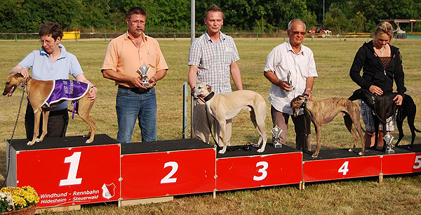 Gil, Belchito, Kayf Tar, Cape Breton Silver, Royal Dragon