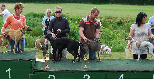 Hoisdorf - Peppershot, Oumaldaaya, Huesca, Kiki-Trouble und Keen Mohani
