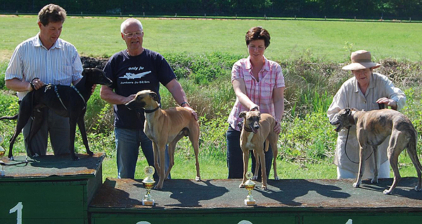 Rennen in Hoisdorf Das Quartett der Nationalen Klasse, von links High Baroque vom rauhen Meer, Peppercorn vom rauhen Meer, Silverhawk´s Olena Red, Snap Dog´s Dorian.