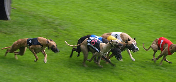 Verbandssiegerrennen Kln 2009