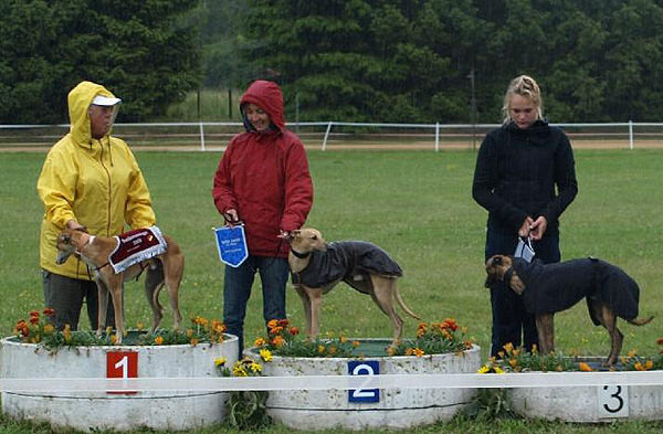 Catkyll's Angelo, Mick Jerome vom rauhen Meer, Surumu vom rauhen Meer