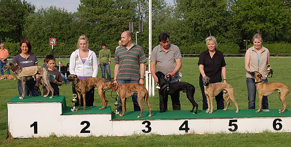 Mnster, Laws Gandor, Surumu vom rauhen Meer, Crazy Runner's Gladiator