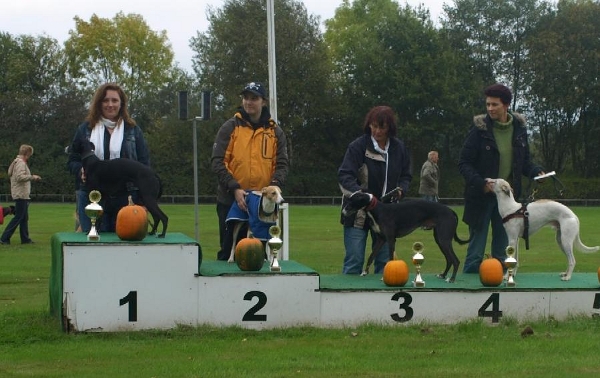 Carlo, Marshmallow, Fabriz und Falkenhain