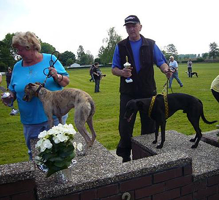 Balou Memories of Black and White, Quiff vom rauhen Meer