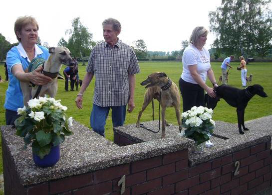 Romanow's Yoshi, Snap Dog's Gulio-Luciano und Qsar vom rauhen Meer