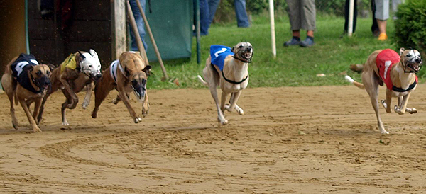 Deutsches Derby Hamburg