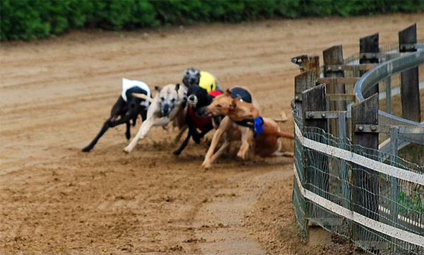 Internationales Derby Hamburg