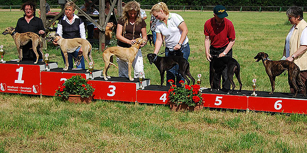 Inka Lilie, Gazeera vom Badenermoor, Crazy Runner's Dynamite Lady, Culann's Ice Flower und Culann's Ginie