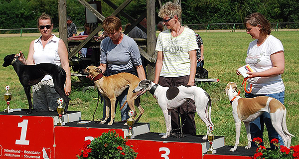 Oumaldaaya vom rauhen Meer, Peppershot vom rauhen Meer, Juana lively pack und Emily of Dulmanian Stars