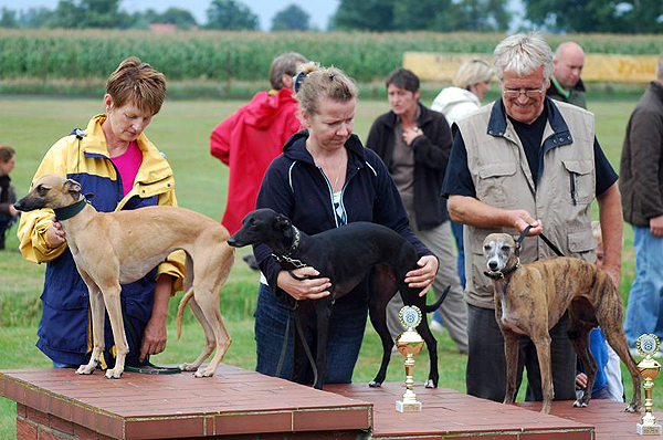 Schnellste Whippetzeit des Tages für Peppershot vom rauhen Meer