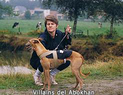 illains del Abokhan