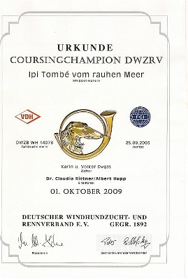 Ipi Tomb vom rauhen Meer