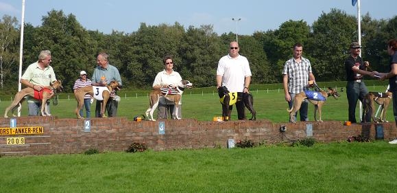 Jari, Wizard the best, Golden Boy, Qsar, Timon, Dakota