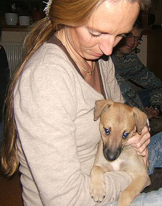 Whippetzuechter vom rauhen Meer S-Wurfe