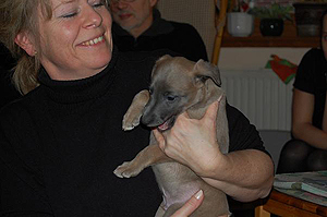 Whippetzuechter vom rauhen Meer S-Wurfe